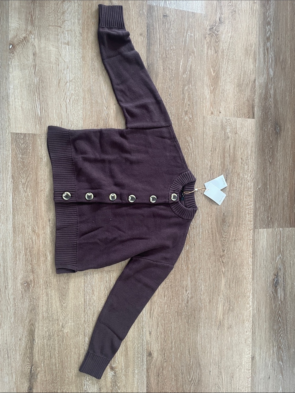 Quince Dark Plum Button-Front Cardigan Sweater